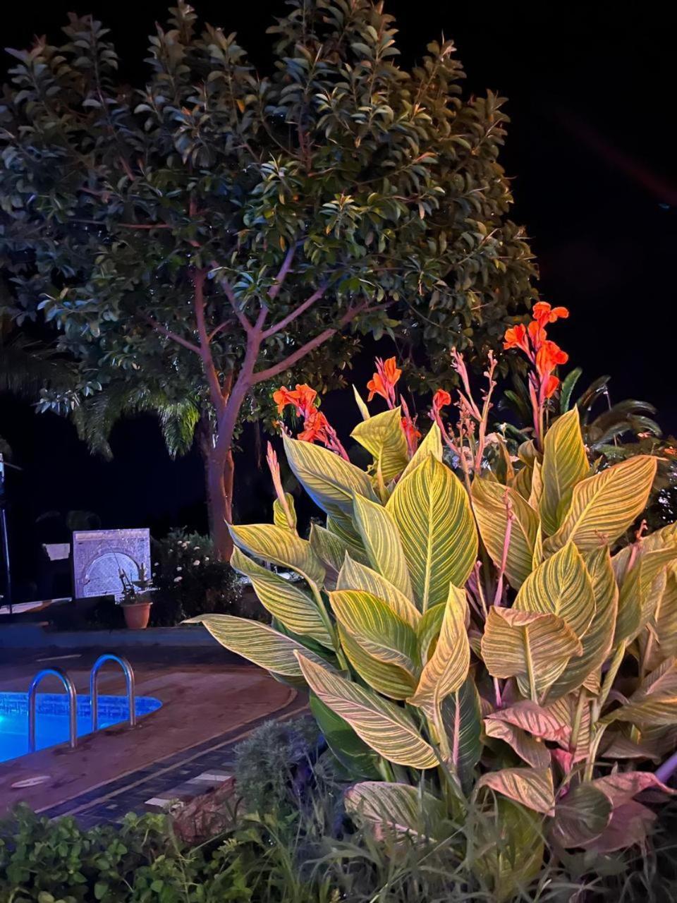 Gite Ecoparadis Madagh Екстер'єр фото